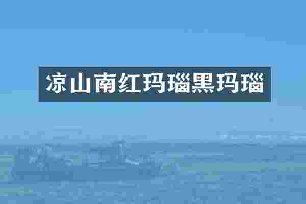 凉山南红玛瑙黑玛瑙