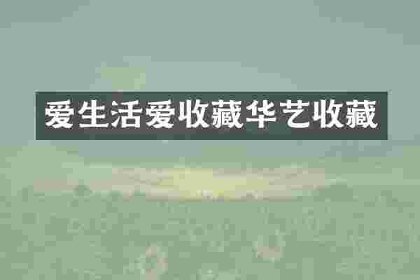 爱生活爱收藏华艺收藏