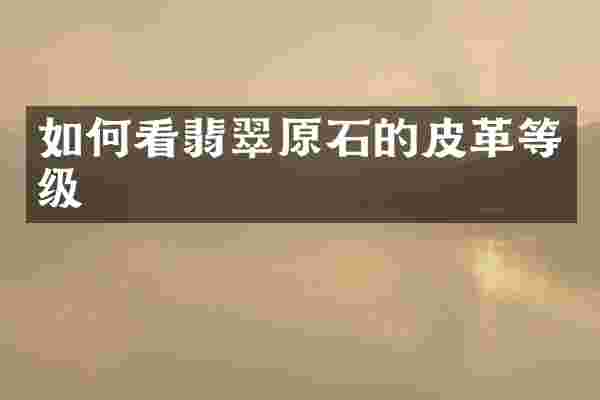 如何看翡翠原石的皮革等级