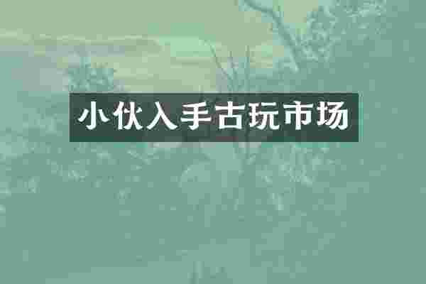 小伙入手古玩市场