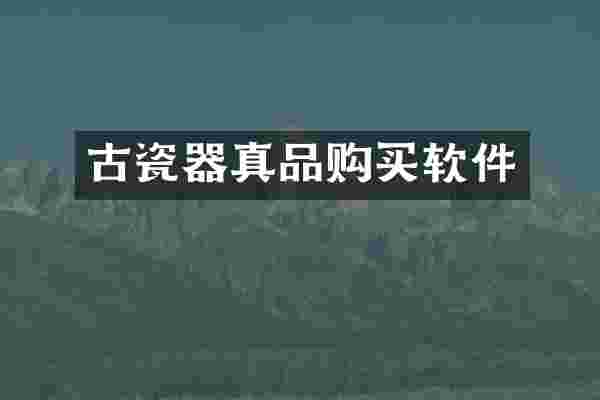 古瓷器真品购买软件