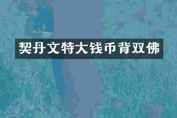契丹文特大钱币背双佛