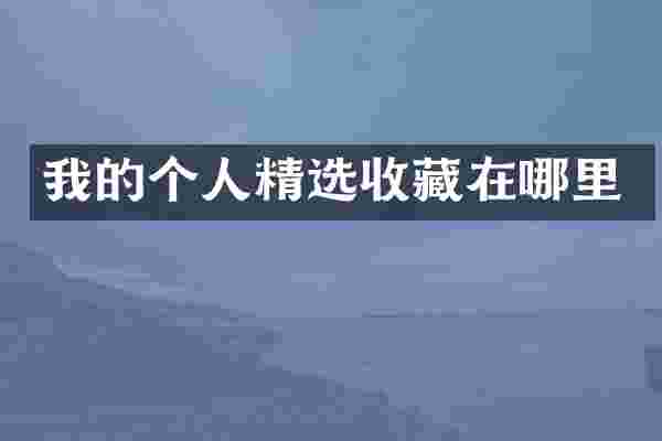 我的个人精选收藏在哪里