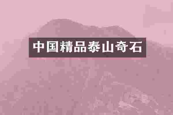 中国精品泰山奇石