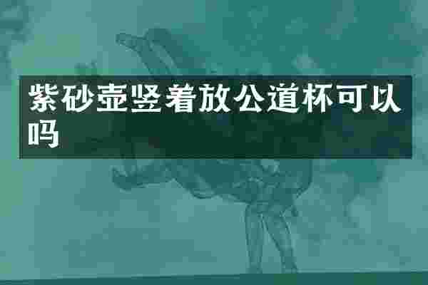 紫砂壶竖着放公道杯可以吗
