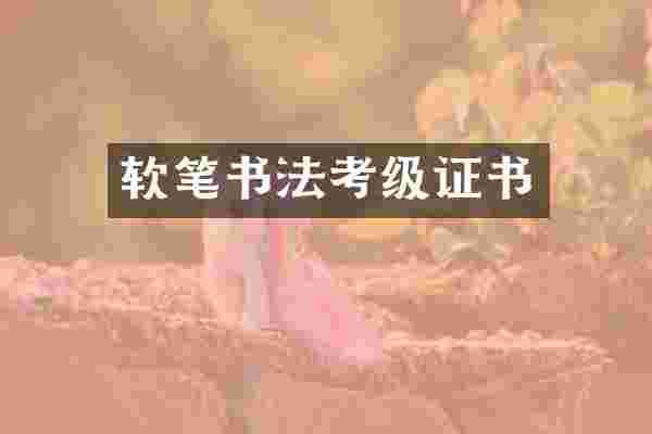 软笔书法考级证书
