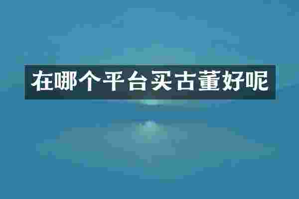 在哪个平台买古董好呢