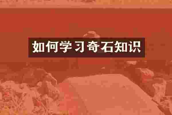 如何学习奇石知识