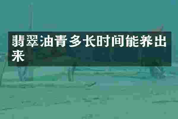 翡翠油青多长时间能养出来