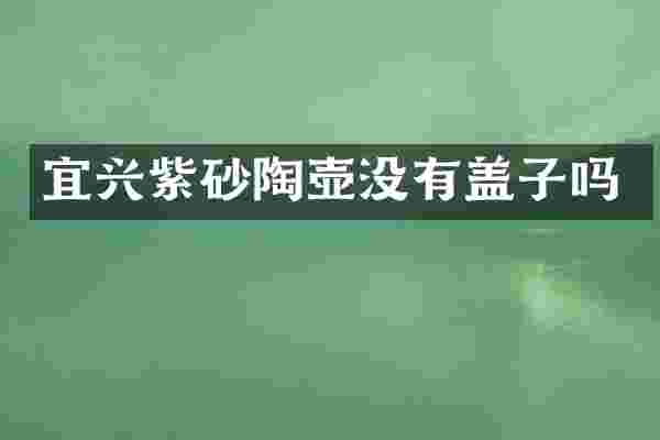 宜兴紫砂陶壶没有盖子吗
