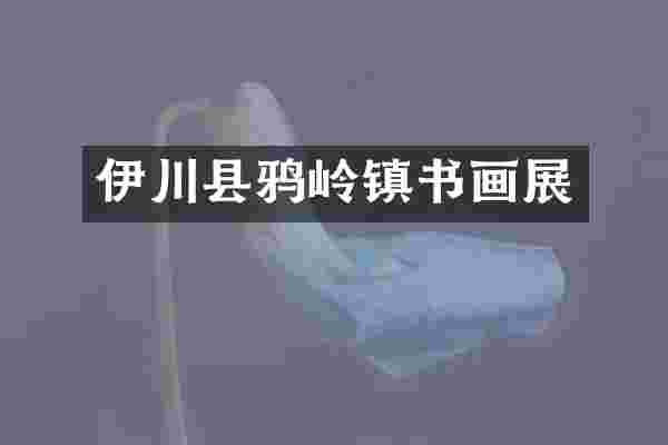 伊川县鸦岭镇书画展