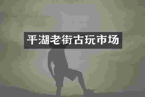 平湖老街古玩市场