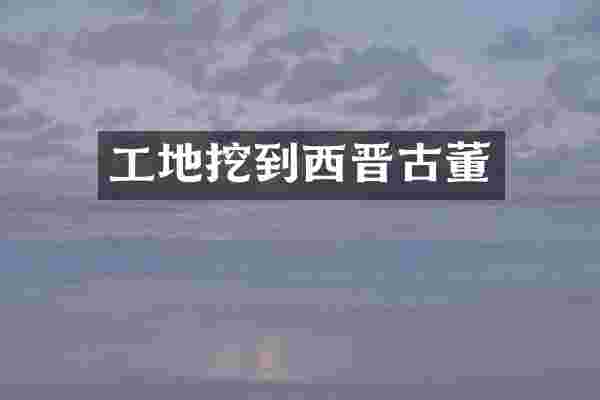 工地挖到西晋古董