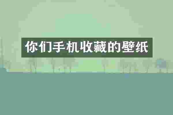你们手机收藏的壁纸