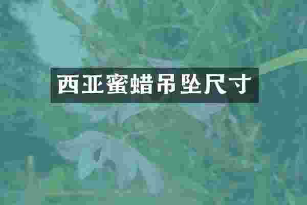 西亚蜜蜡吊坠尺寸