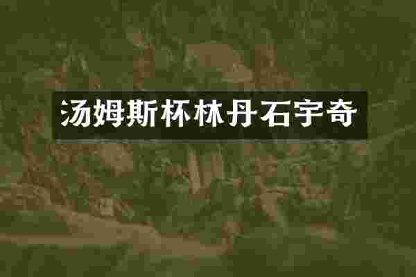 汤姆斯杯林丹石宇奇
