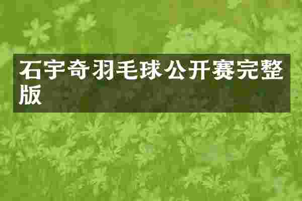 石宇奇羽毛球公开赛完整版