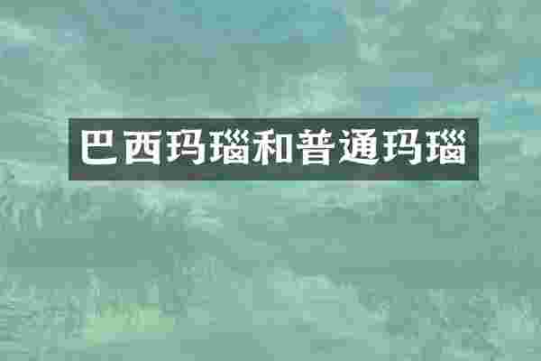 巴西玛瑙和普通玛瑙
