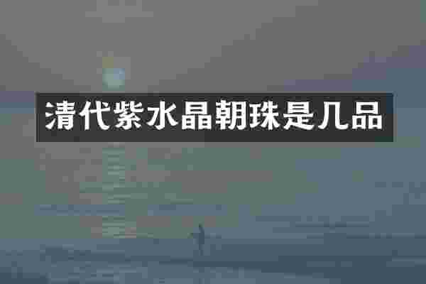 清代紫水晶朝珠是几品