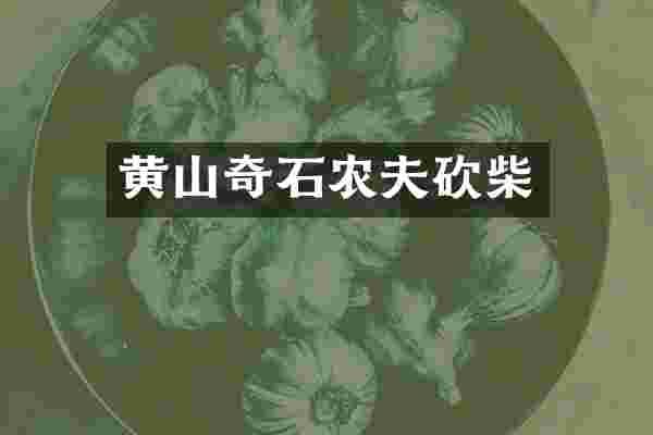 黄山奇石农夫砍柴