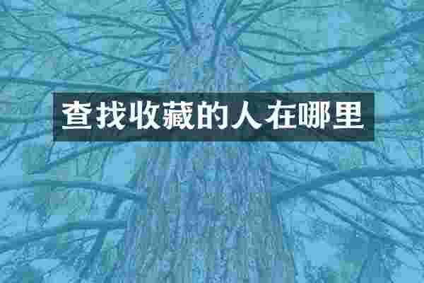查找收藏的人在哪里