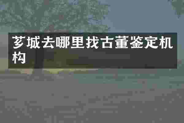 芗城去哪里找古董鉴定机构