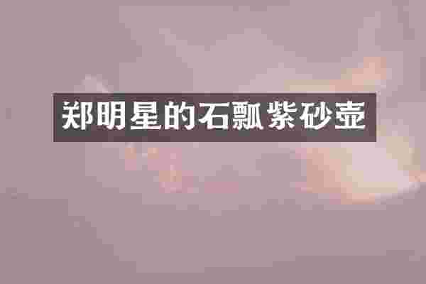 郑明星的石瓢紫砂壶