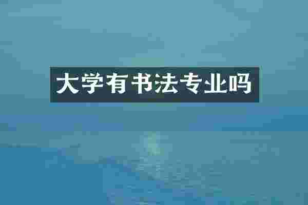 大学有书法专业吗