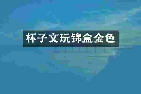 杯子文玩锦盒金色