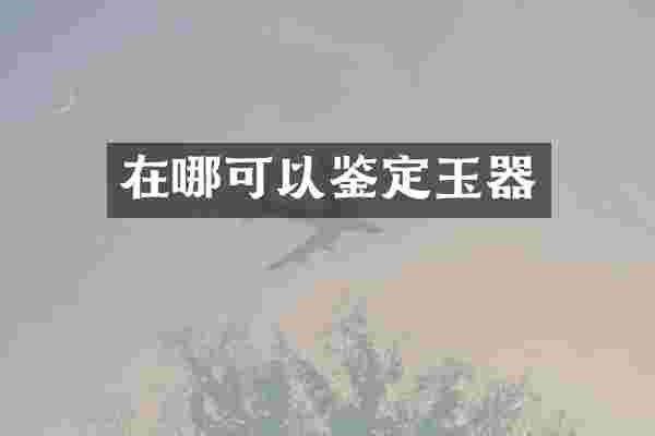 在哪可以鉴定玉器