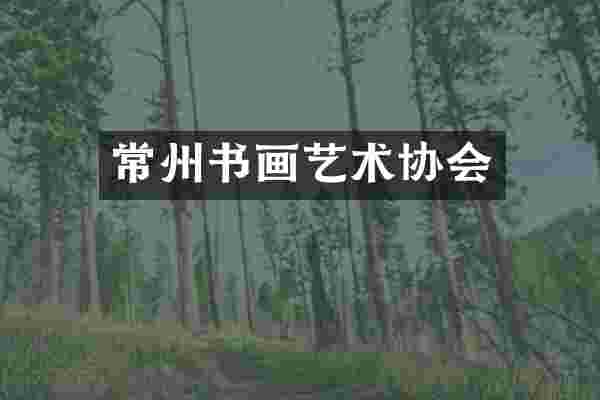 常州书画艺术协会