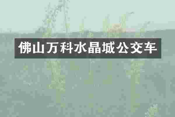佛山万科水晶城公交车