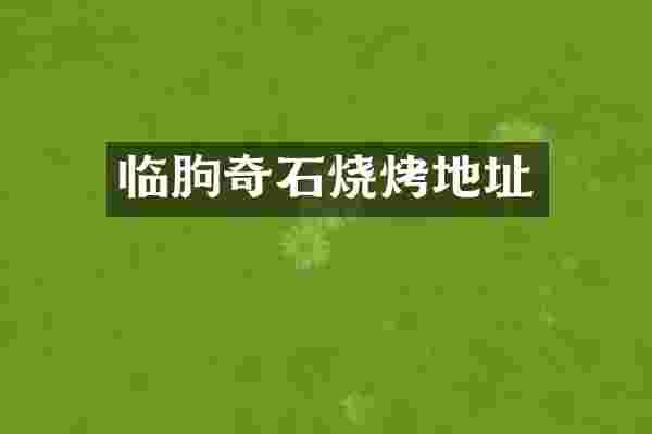 临朐奇石烧烤地址