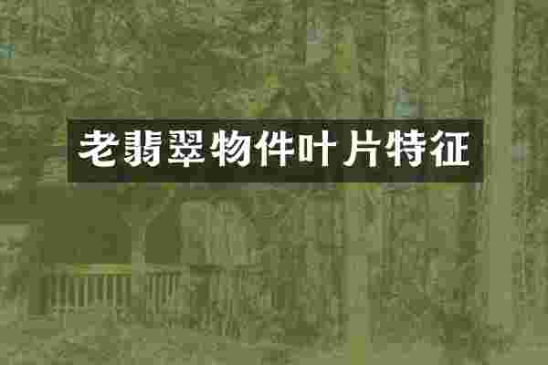 老翡翠物件叶片特征