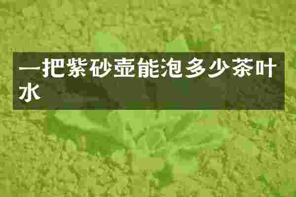 一把紫砂壶能泡多少茶叶水