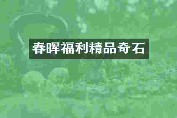 春晖福利精品奇石
