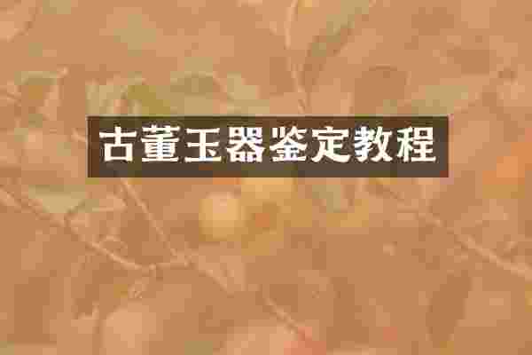 古董玉器鉴定教程