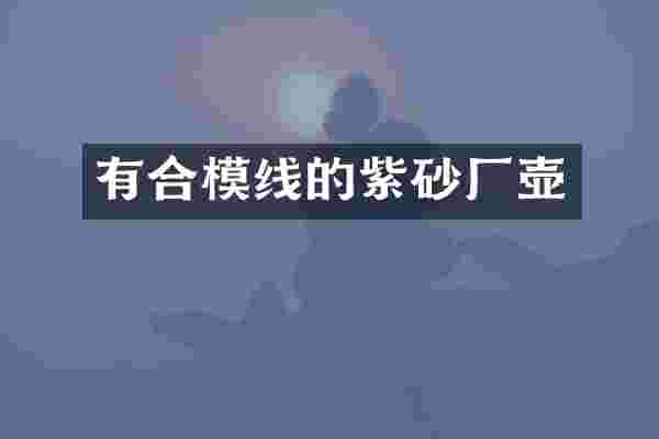有合模线的紫砂厂壶