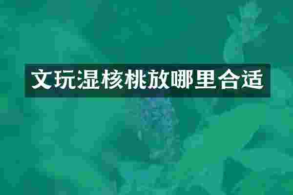 文玩湿核桃放哪里合适