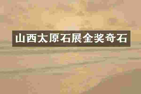 山西太原石展金奖奇石