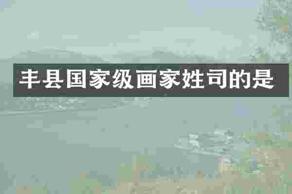 丰县国家级画家姓司的是