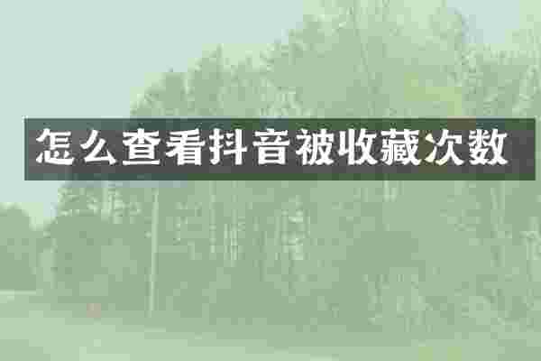怎么查看抖音被收藏次数