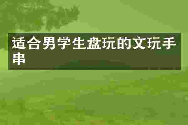 适合男学生盘玩的文玩手串