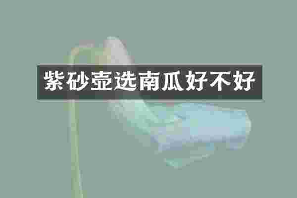 紫砂壶选南瓜好不好