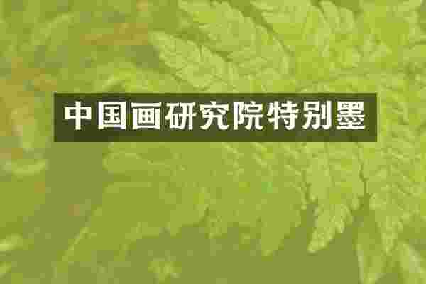 中国画研究院特别墨
