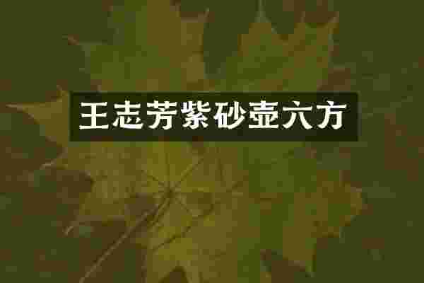 王志芳紫砂壶六方
