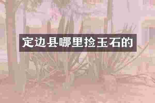 定边县哪里捡玉石的