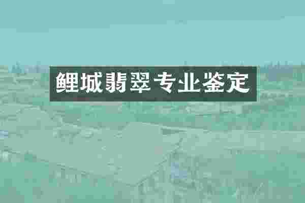 鲤城翡翠专业鉴定