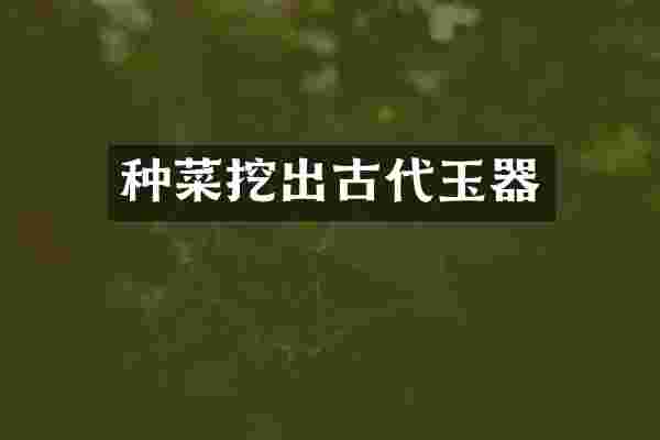 种菜挖出古代玉器