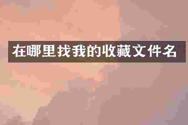 在哪里找我的收藏文件名